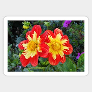 Golden Gate Blooms Sticker